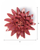 France Blush Pink Strawflower - Chive UK Wholesale