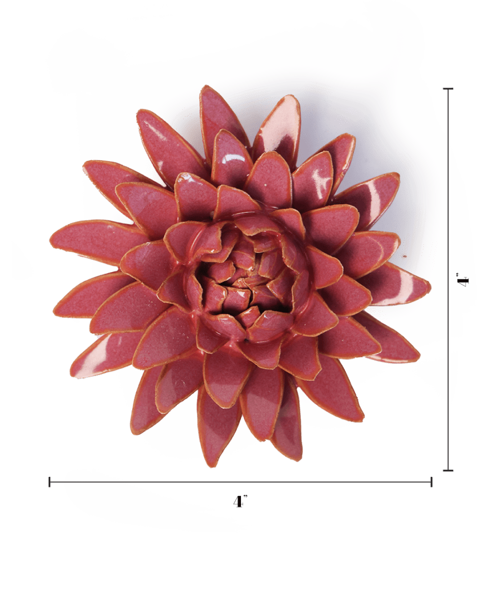 France Blush Pink Strawflower - Chive UK Wholesale