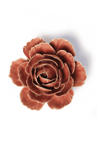 France Champagne Pink English Rose - Chive UK Wholesale