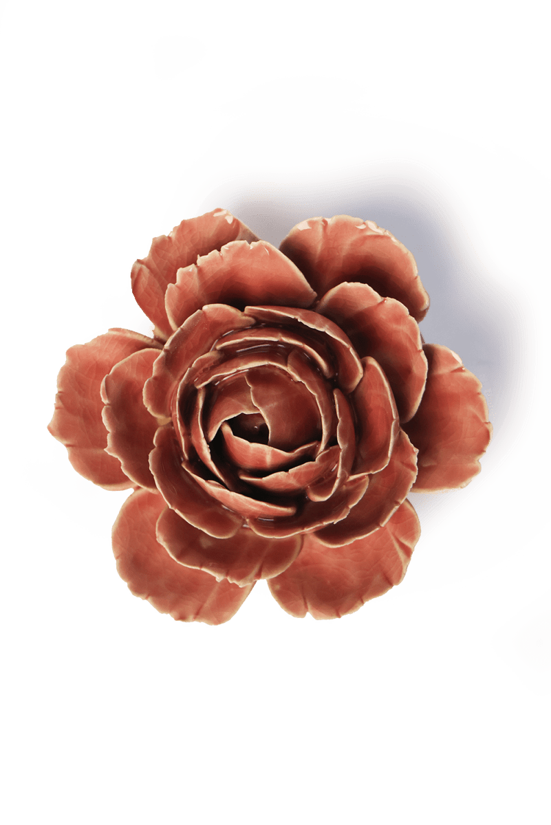 France Champagne Pink English Rose - Chive UK Wholesale