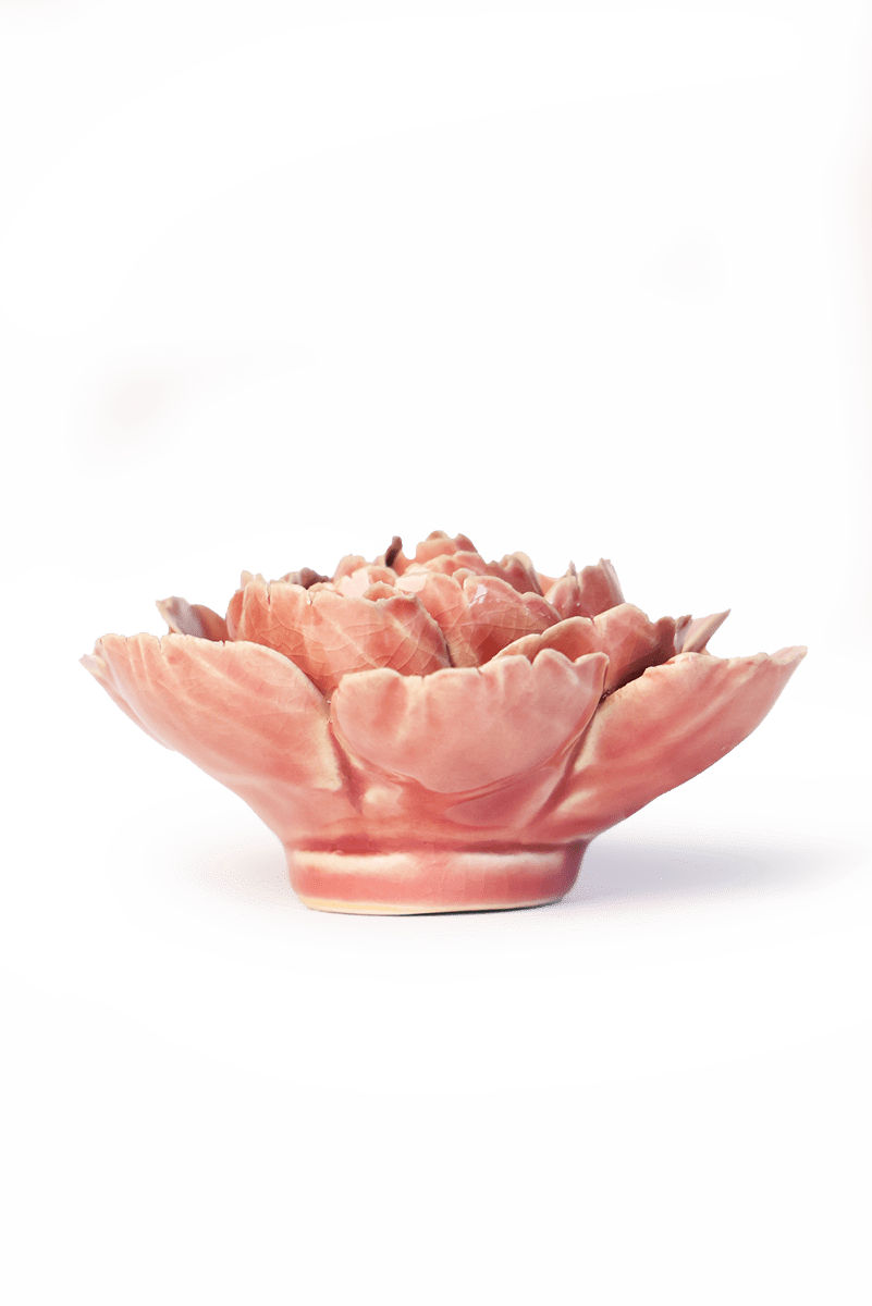 France Champagne Pink English Rose - Chive UK Wholesale