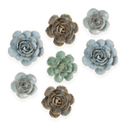 Ceramic Flower France Curated Collection #4 - Chive UK Wholesale
