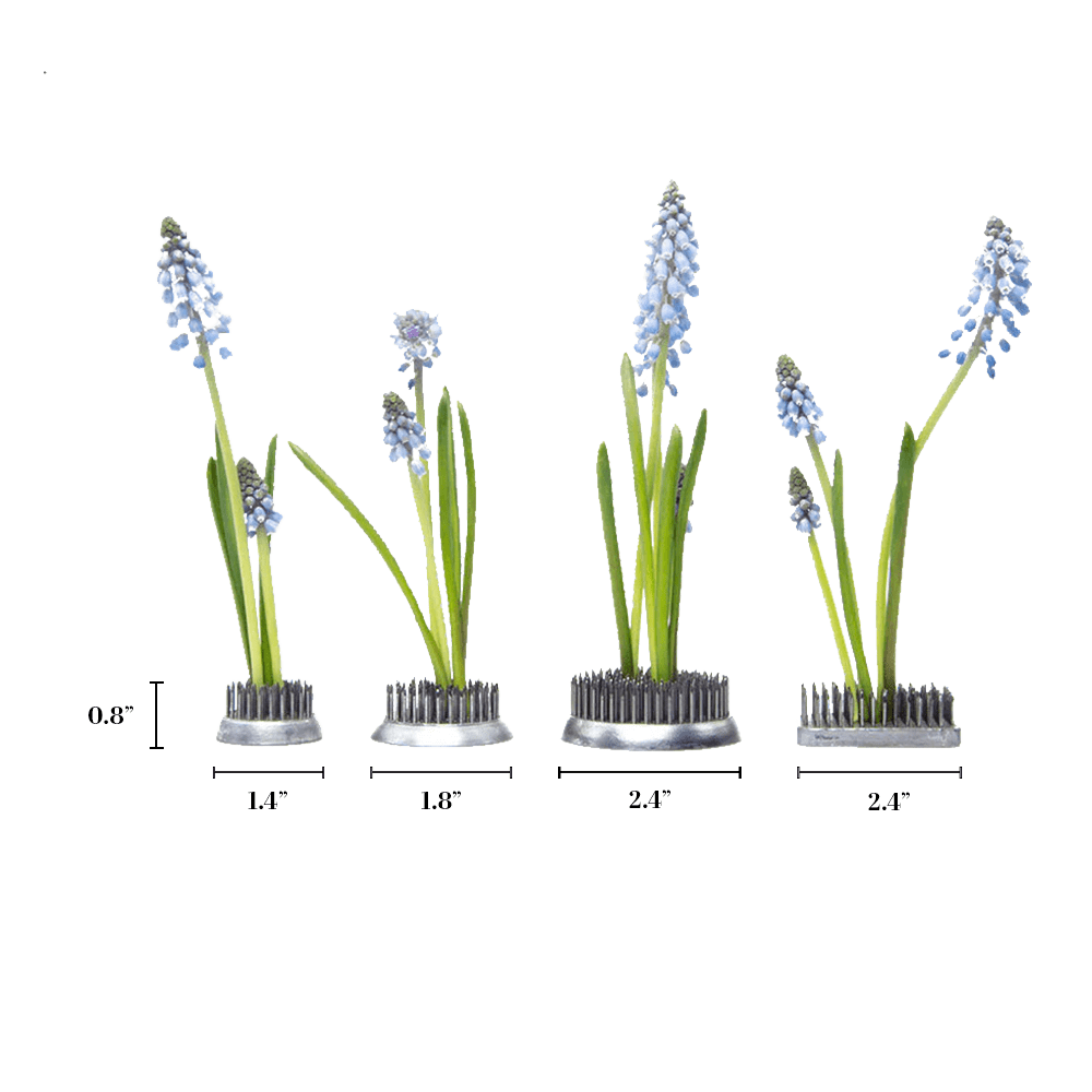 Kenzan Metal Floral Frogs For Ikebana - Chive UK Wholesale