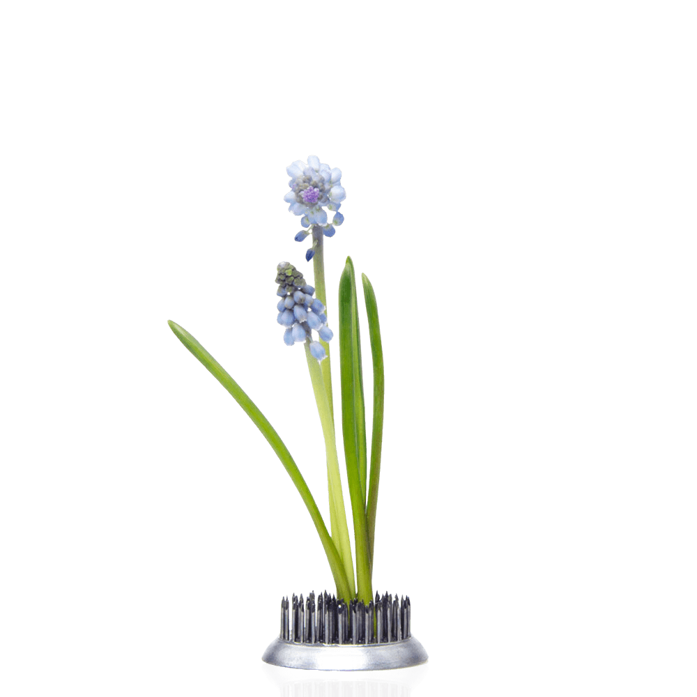 Kenzan Metal Floral Frogs For Ikebana - Chive UK Wholesale