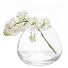 George Glass Clear Bud Vase Kit - Chive UK Wholesale