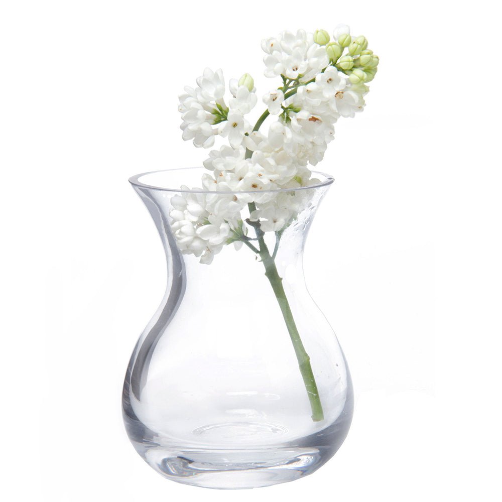 George Glass Clear Bud Vase Kit - Chive UK Wholesale