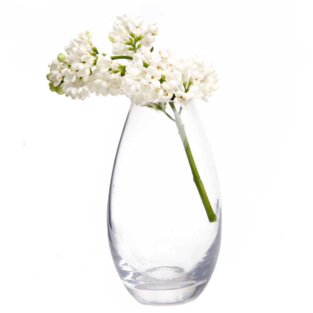 George Glass Clear Bud Vase Kit - Chive UK Wholesale