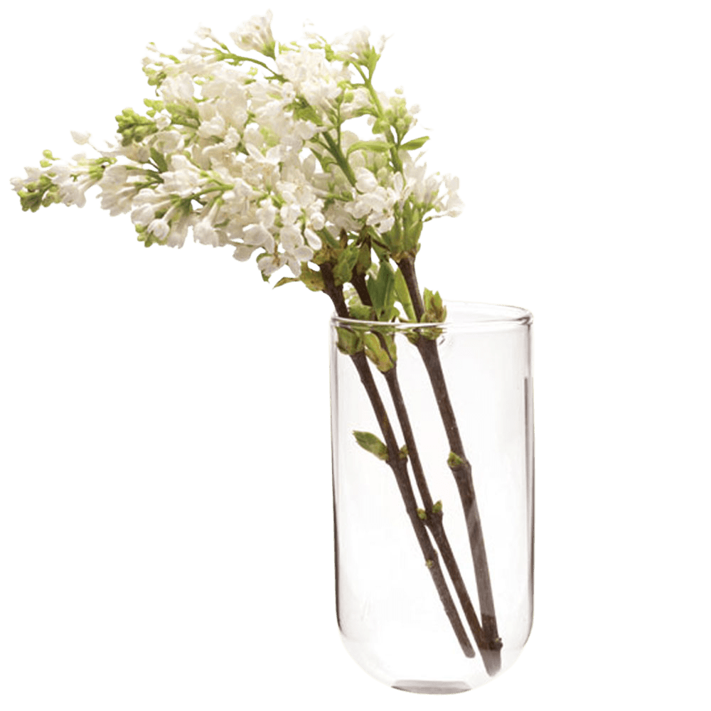 Wall Cup Glass Modern Clear Flower Vase - Chive UK Wholesale