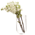 Wall Cup Glass Modern Clear Flower Vase - Chive UK Wholesale