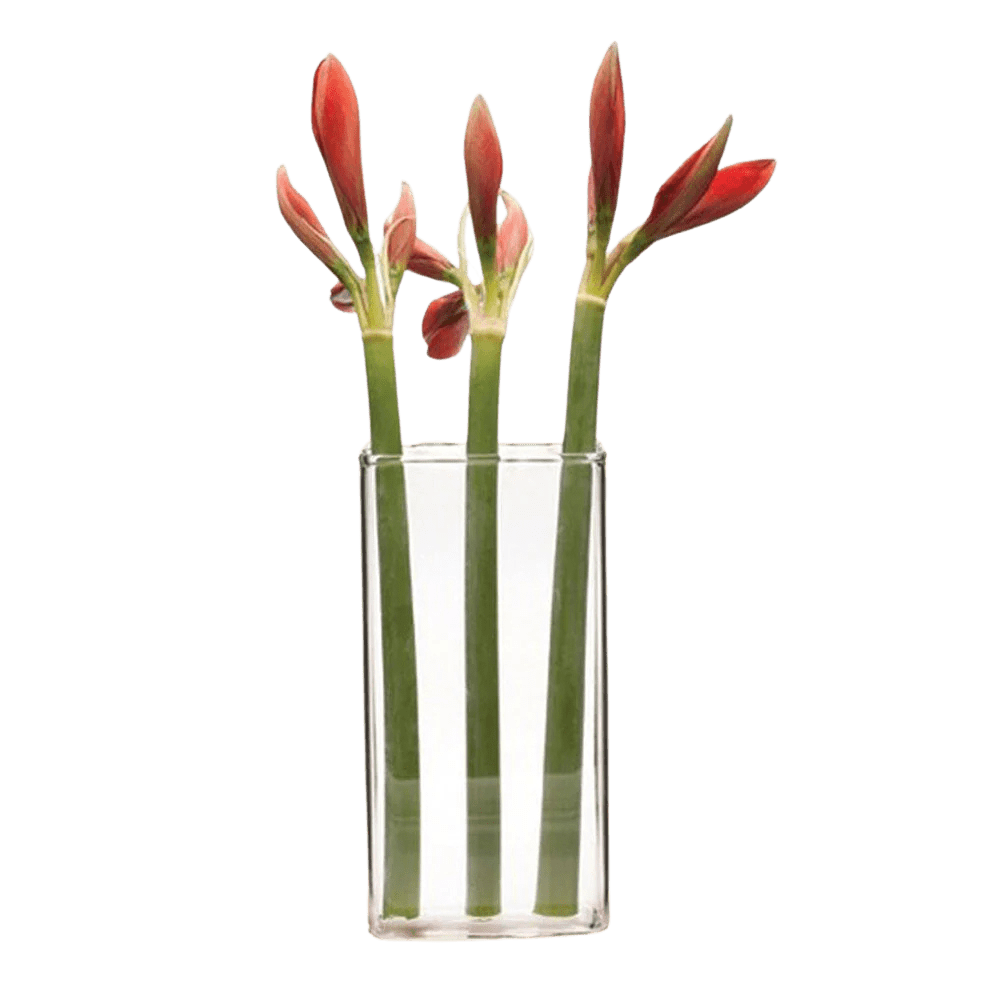 Wall Brick Glass Modern Clear Flower Vase - Chive UK Wholesale