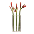 Wall Brick Glass Modern Clear Flower Vase - Chive UK Wholesale