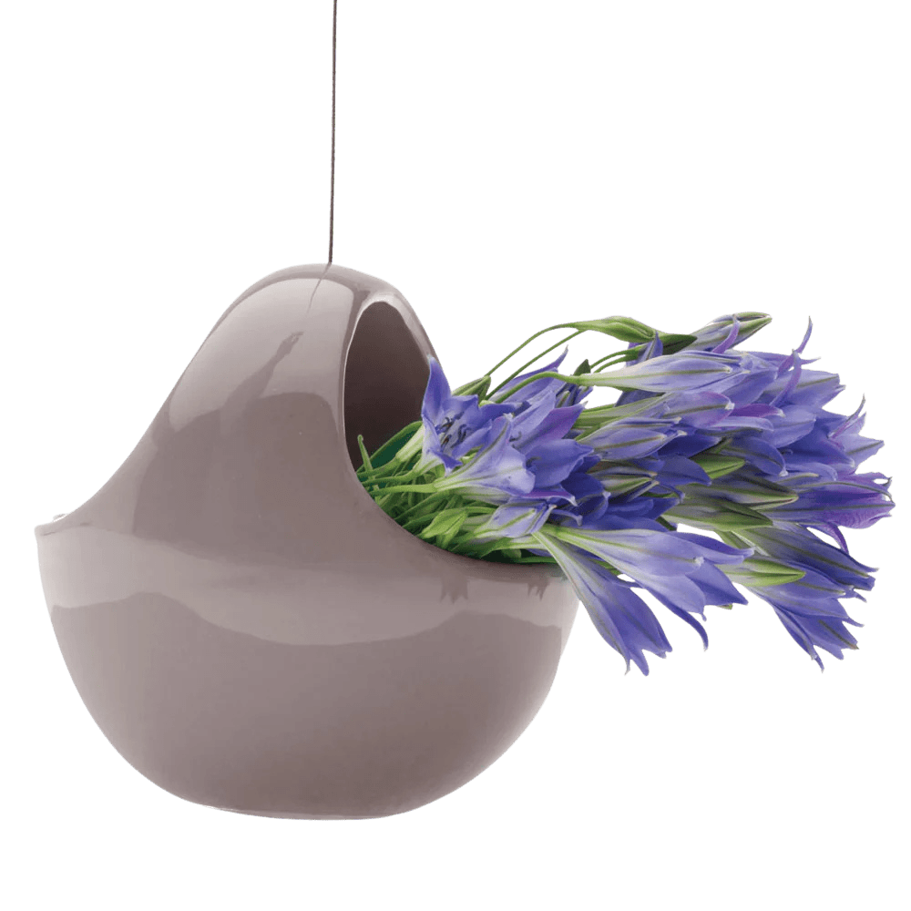 Hanging Aerium Ceramic For Succulents & Ikebana - Chive UK Wholesale