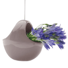 Hanging Aerium Ceramic For Succulents & Ikebana - Chive UK Wholesale