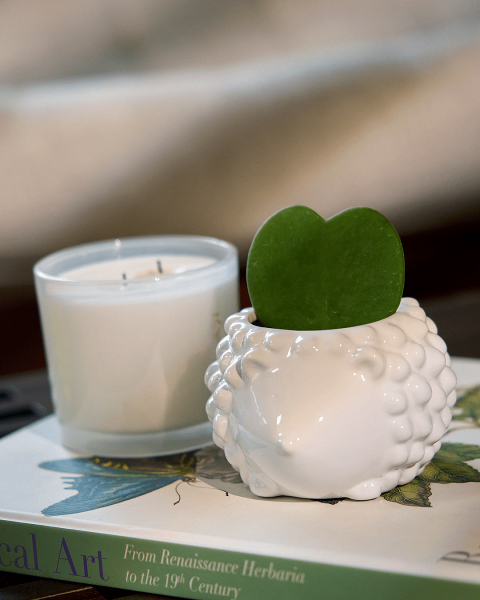 Hedgehog Ceramic Indoor Plant Pot For Succulents - Chive UK Wholesale