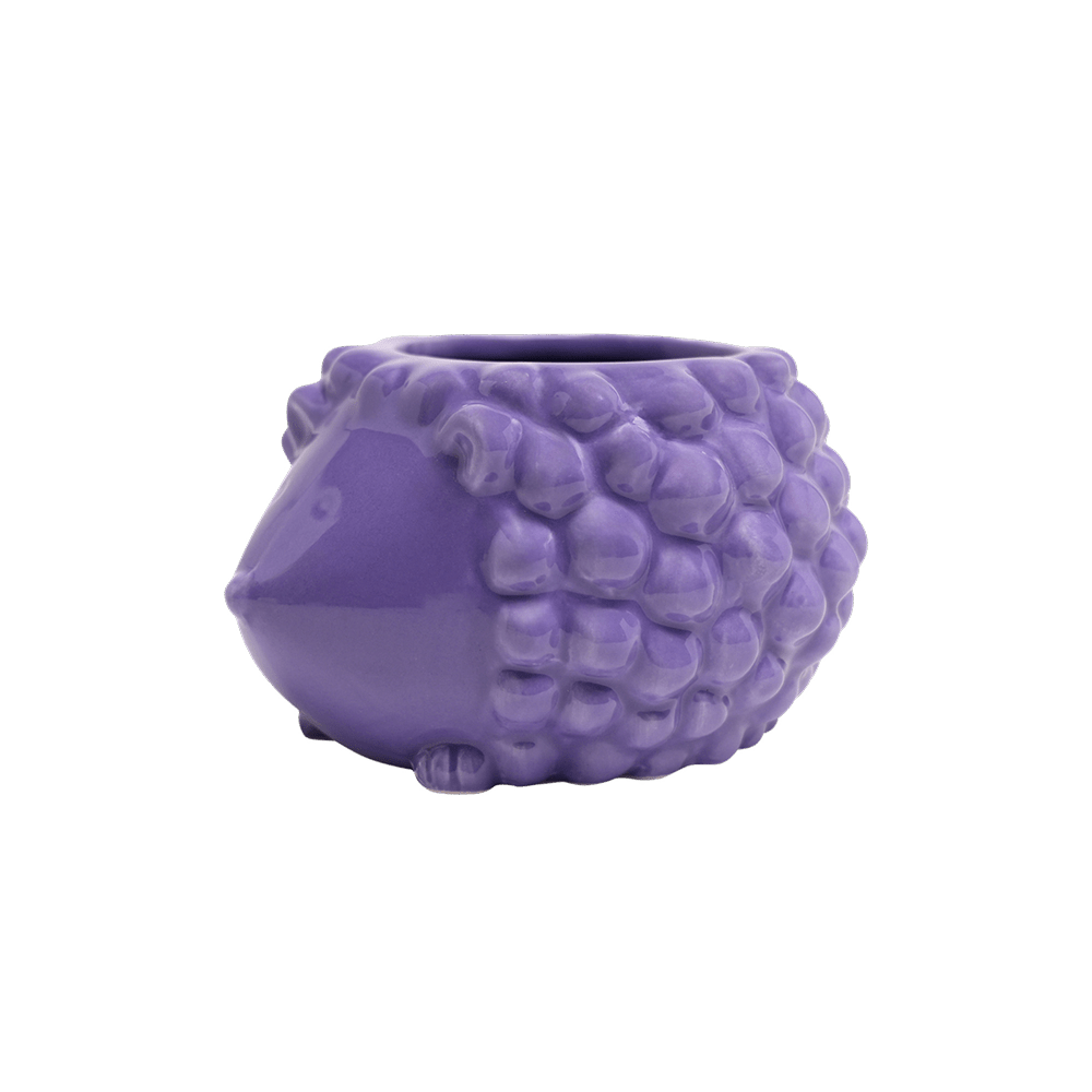 Hedgehog Ceramic Indoor Plant Pot For Succulents - Chive UK Wholesale