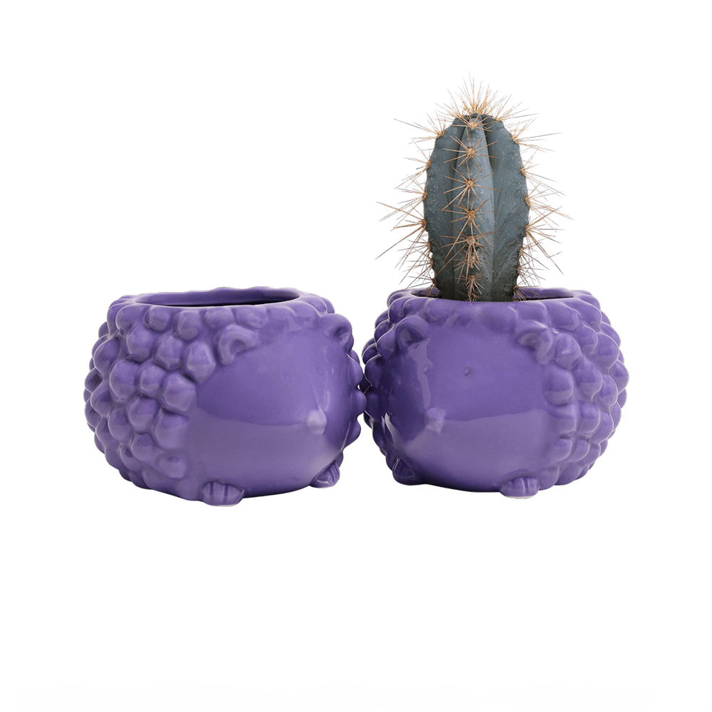 Hedgehog Ceramic Indoor Plant Pot For Succulents - Chive UK Wholesale