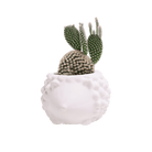 Hedgehog Ceramic Indoor Plant Pot For Succulents - Chive UK Wholesale