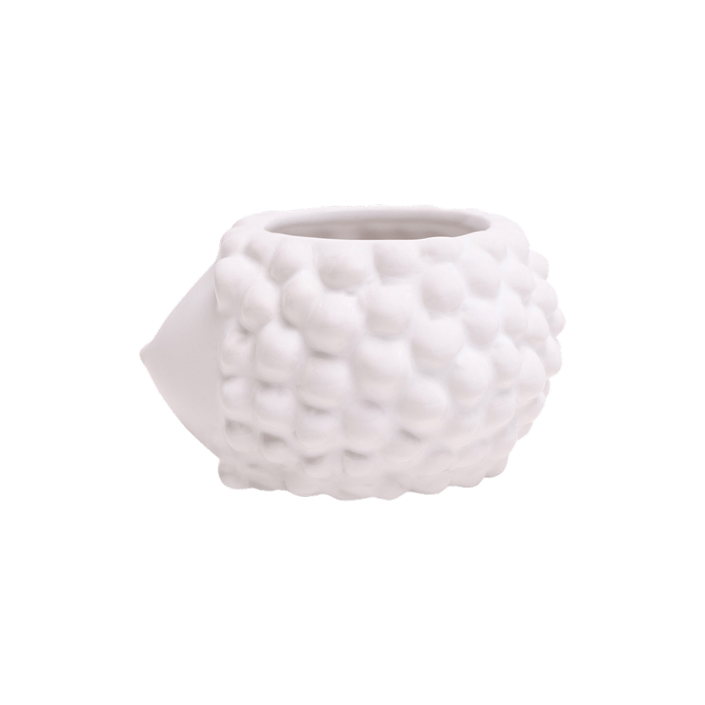 Hedgehog Ceramic Indoor Plant Pot For Succulents - Chive UK Wholesale