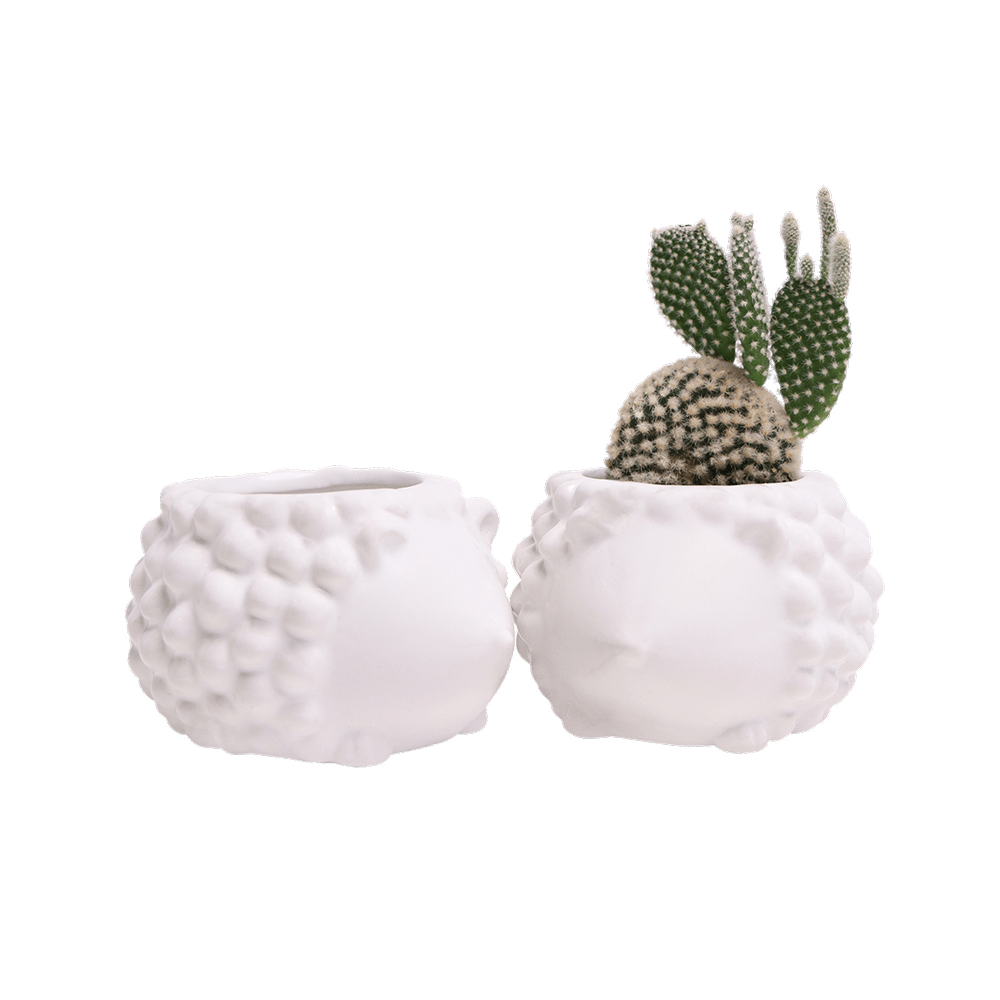 Hedgehog Ceramic Indoor Plant Pot For Succulents - Chive UK Wholesale