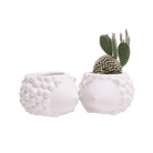 Hedgehog Ceramic Indoor Plant Pot For Succulents - Chive UK Wholesale