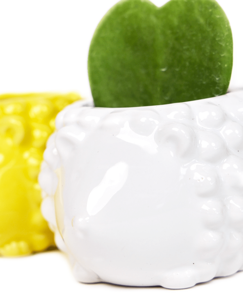 Hedgehog Ceramic Indoor Plant Pot For Succulents - Chive UK Wholesale