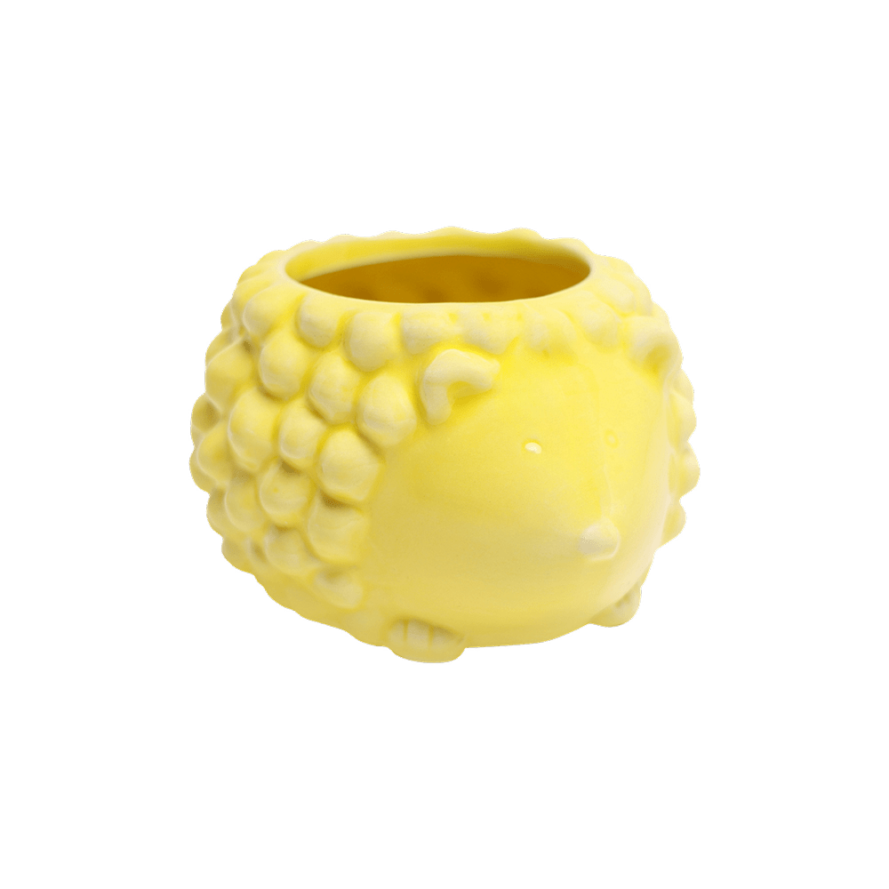 Hedgehog Ceramic Indoor Plant Pot For Succulents - Chive UK Wholesale