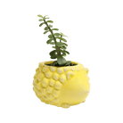 Hedgehog Ceramic Indoor Plant Pot For Succulents - Chive UK Wholesale