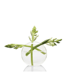 Trifod Glass Modern Clear Flower Vase - Chive UK Wholesale