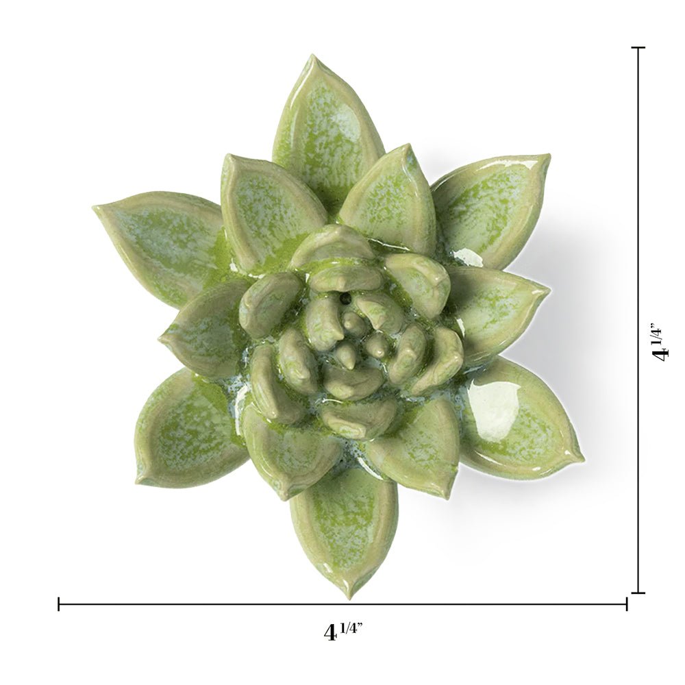 JA20 Pea Green Ghost Succulent - Chive UK Wholesale