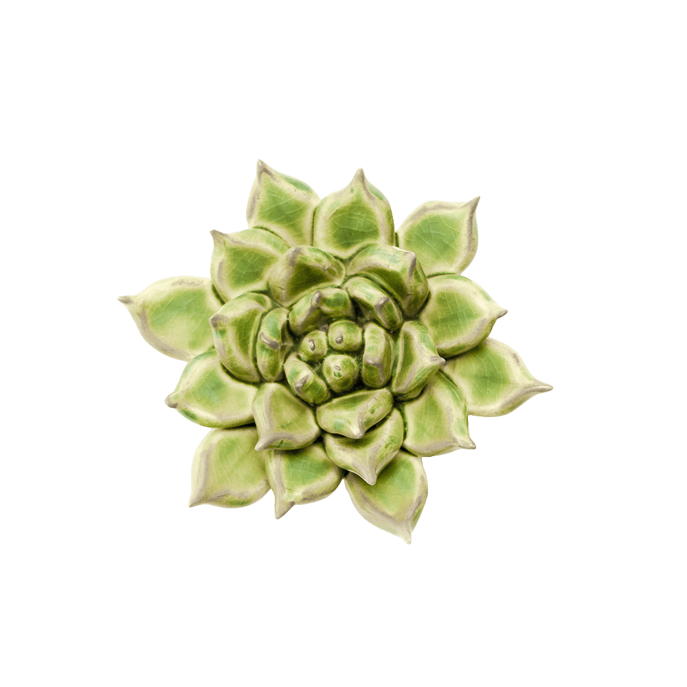 Japan Ceramic Flower Green Succulent - Chive UK Wholesale