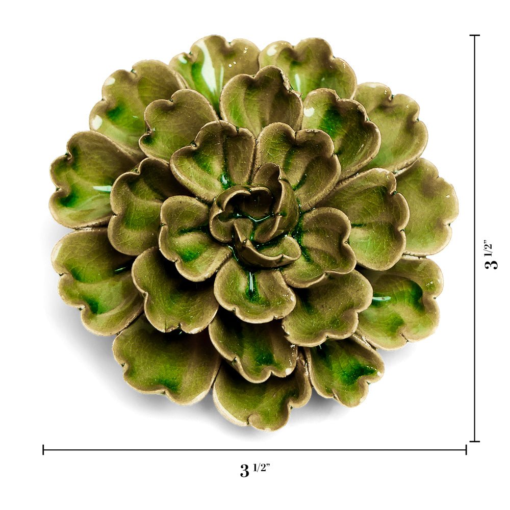 JA24 Avocado Green Petunia - Chive UK Wholesale