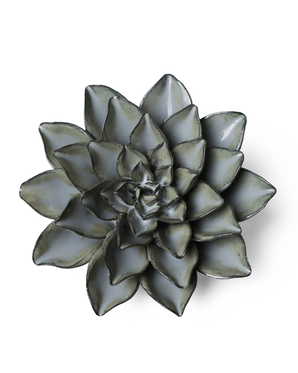 JA01 Grey Goyet Azalea - Chive UK Wholesale