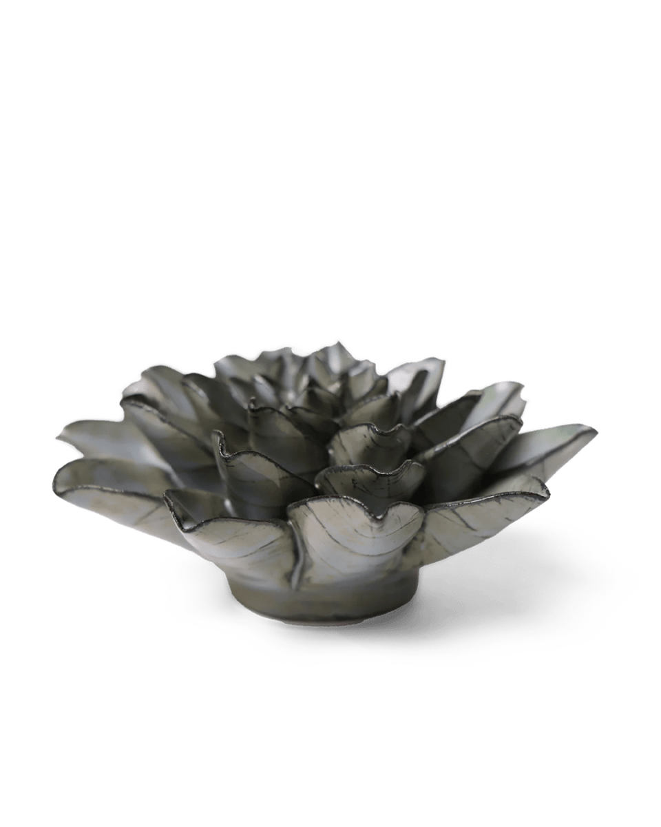 JA01 Grey Goyet Azalea - Chive UK Wholesale