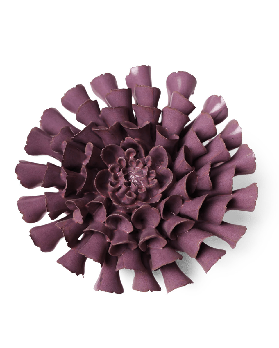 JA02 Violet Blue Cornel Dahlia - Chive UK Wholesale