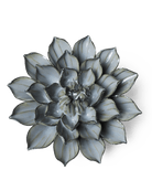 JA03 Grey Green Monch Aster - Chive UK Wholesale
