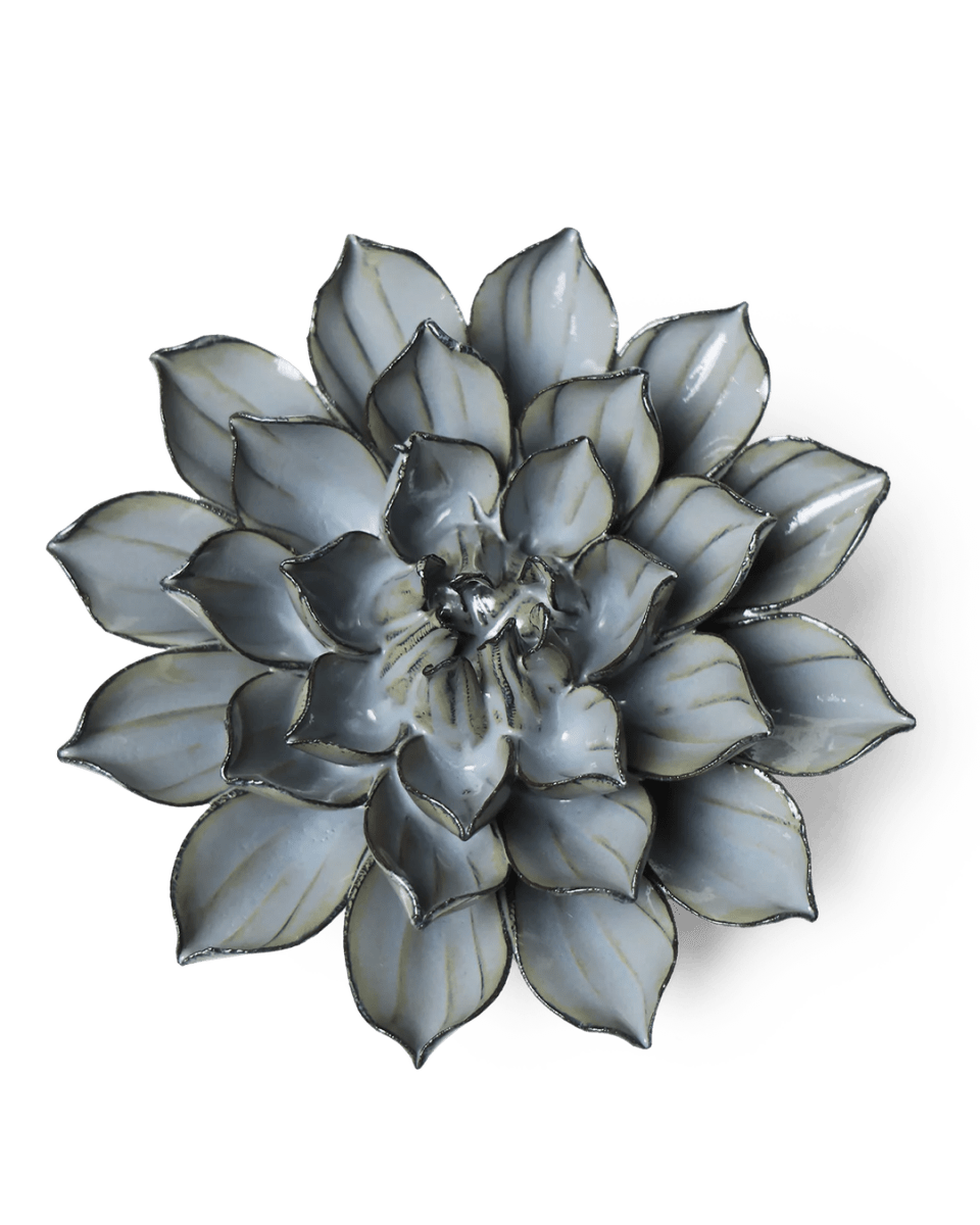 JA03 Grey Green Monch Aster - Chive UK Wholesale
