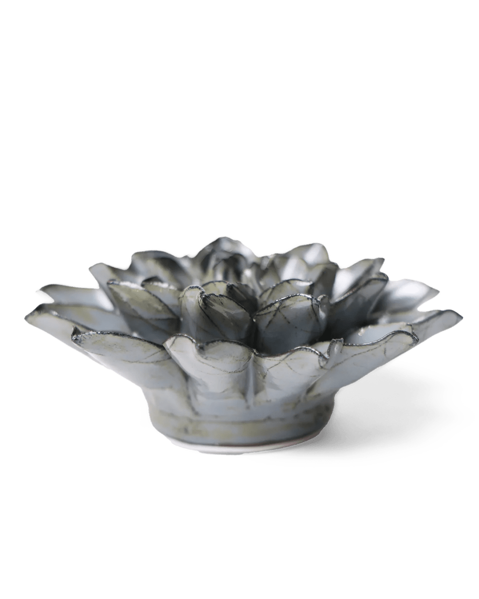 JA03 Grey Green Monch Aster - Chive UK Wholesale