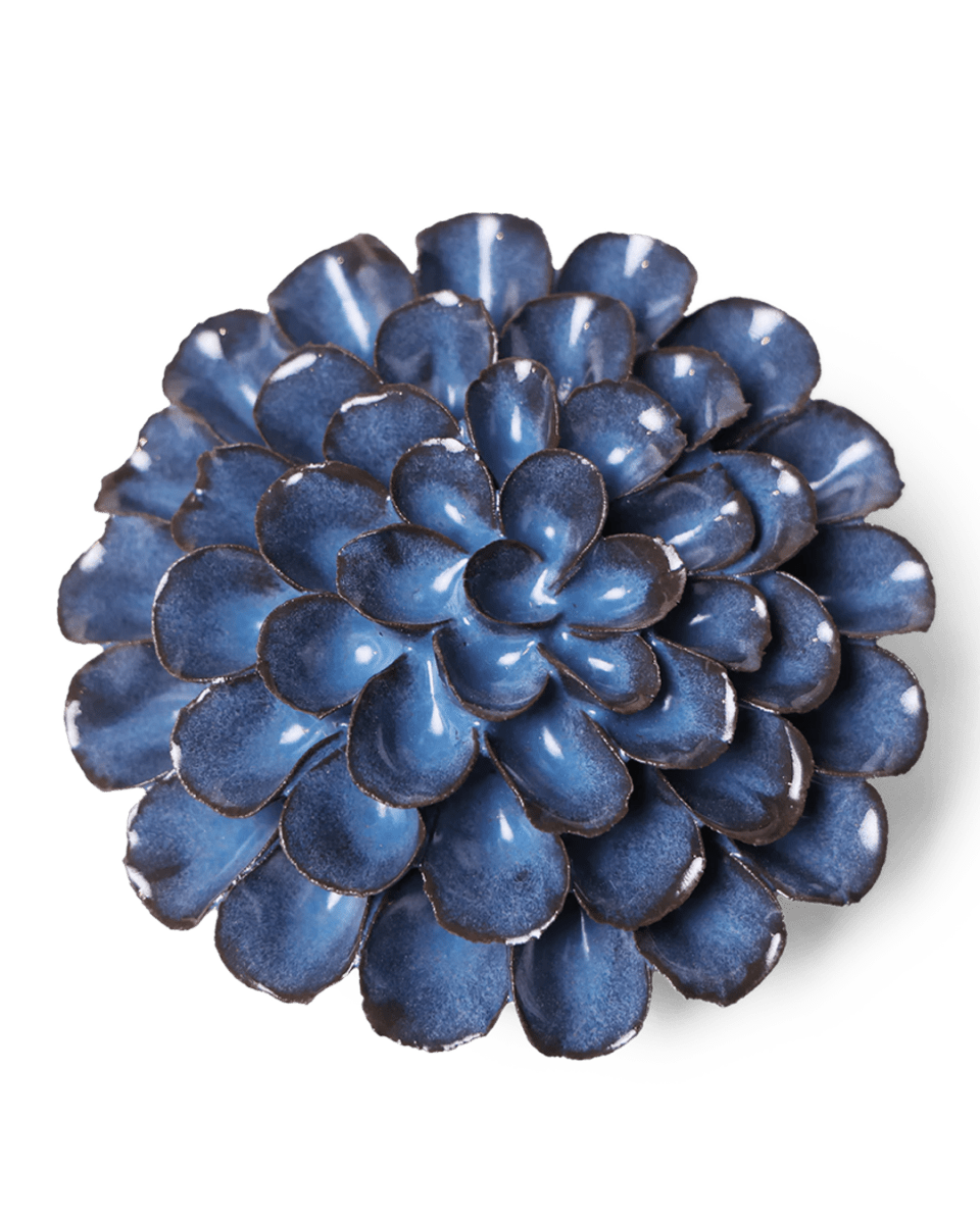 JA04 Blue Noir Pompon Dahlia - Chive UK Wholesale