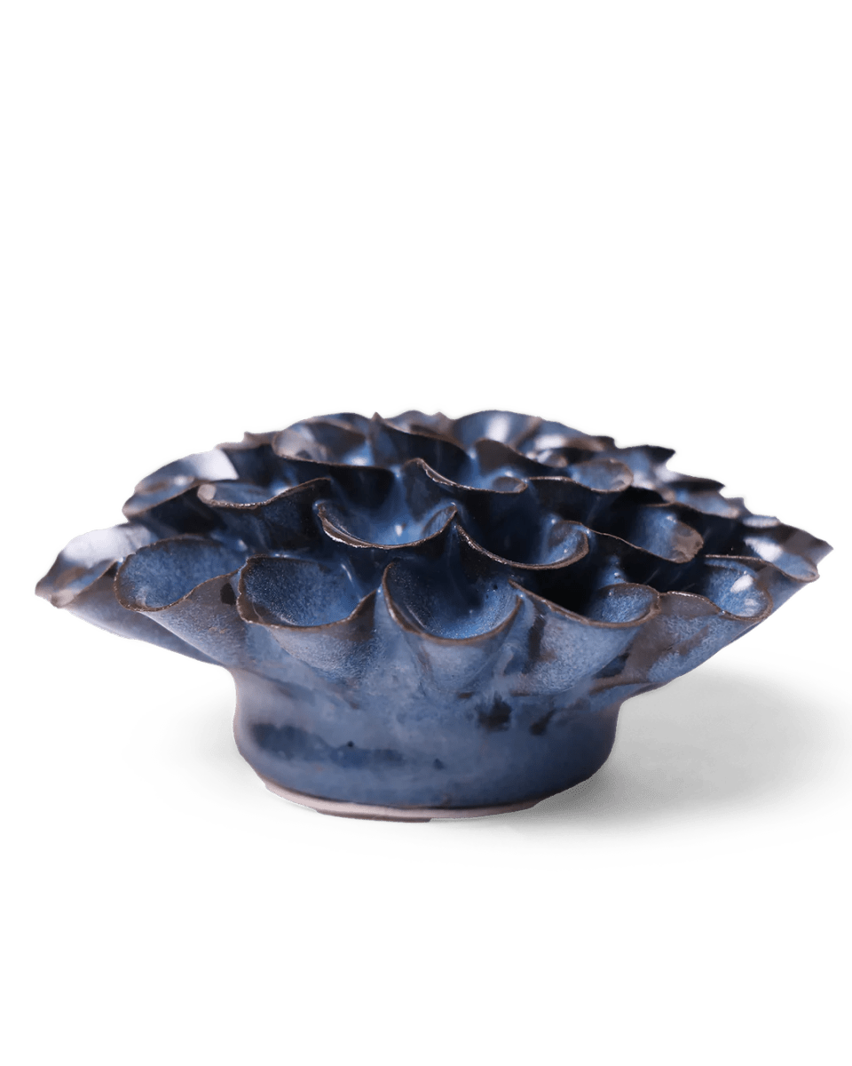 JA04 Blue Noir Pompon Dahlia - Chive UK Wholesale