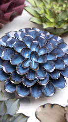 JA04 Blue Noir Pompon Dahlia - Chive UK Wholesale