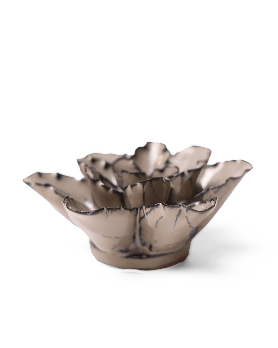 JA05 Latte Empress Lotus - Chive UK Wholesale