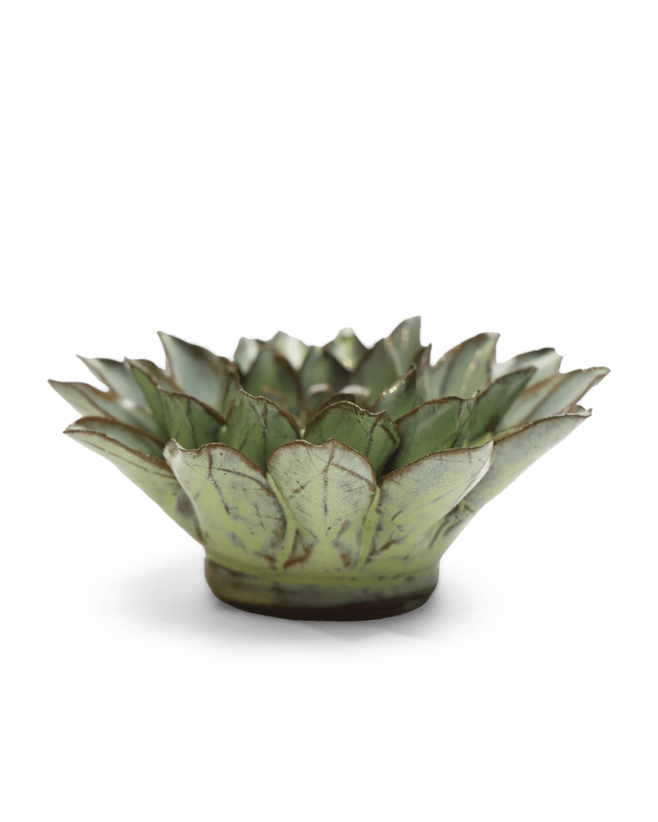 JA06 Pear Green Calico Aster - Chive UK Wholesale
