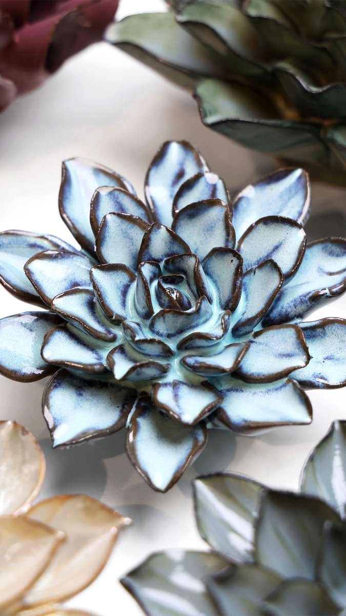 JA07 Seasonal Blue Alpine Aster - Chive UK Wholesale