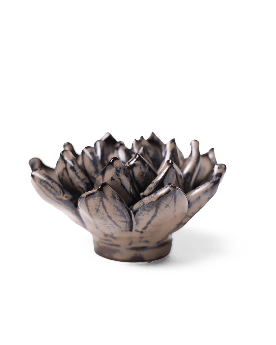 JA08 Latte Lola Echeveria - Chive UK Wholesale