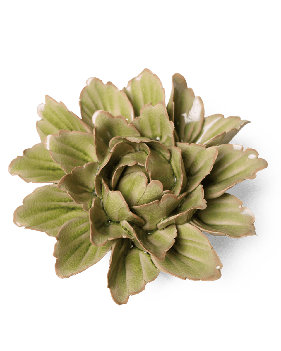 JA11 Peridot Sorbet Peony - Chive UK Wholesale