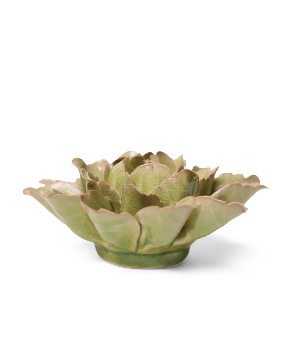 JA11 Peridot Sorbet Peony - Chive UK Wholesale