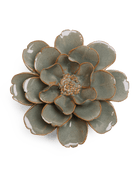JA13 Moss Grey Oxeye Daisy - Chive UK Wholesale