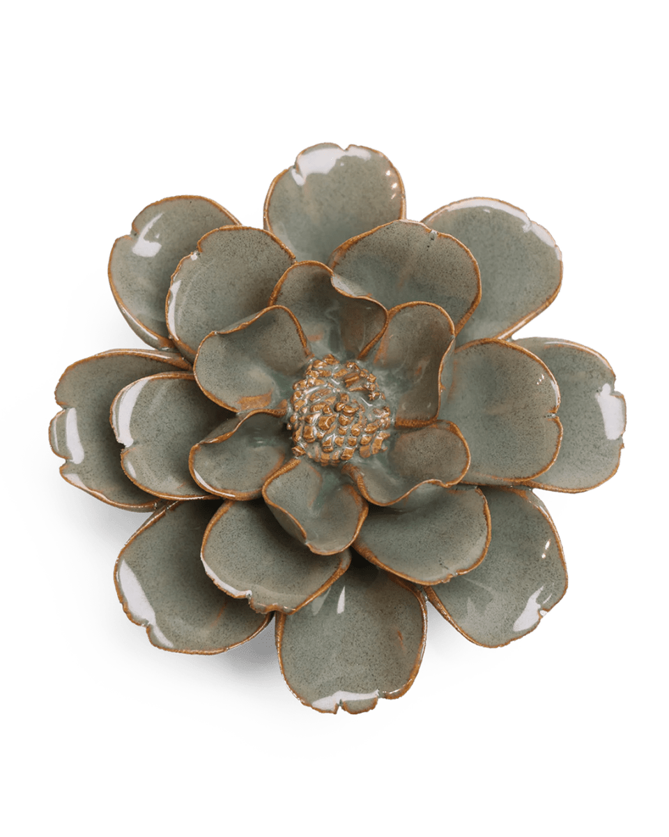 JA13 Moss Grey Oxeye Daisy - Chive UK Wholesale