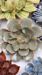 JA13 Moss Grey Oxeye Daisy - Chive UK Wholesale