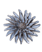 JA14 Blue Grey Gerbera Daisy - Chive UK Wholesale